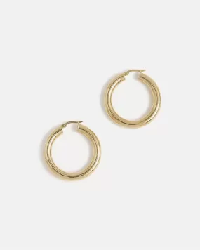 Medium Very Thick Hoops