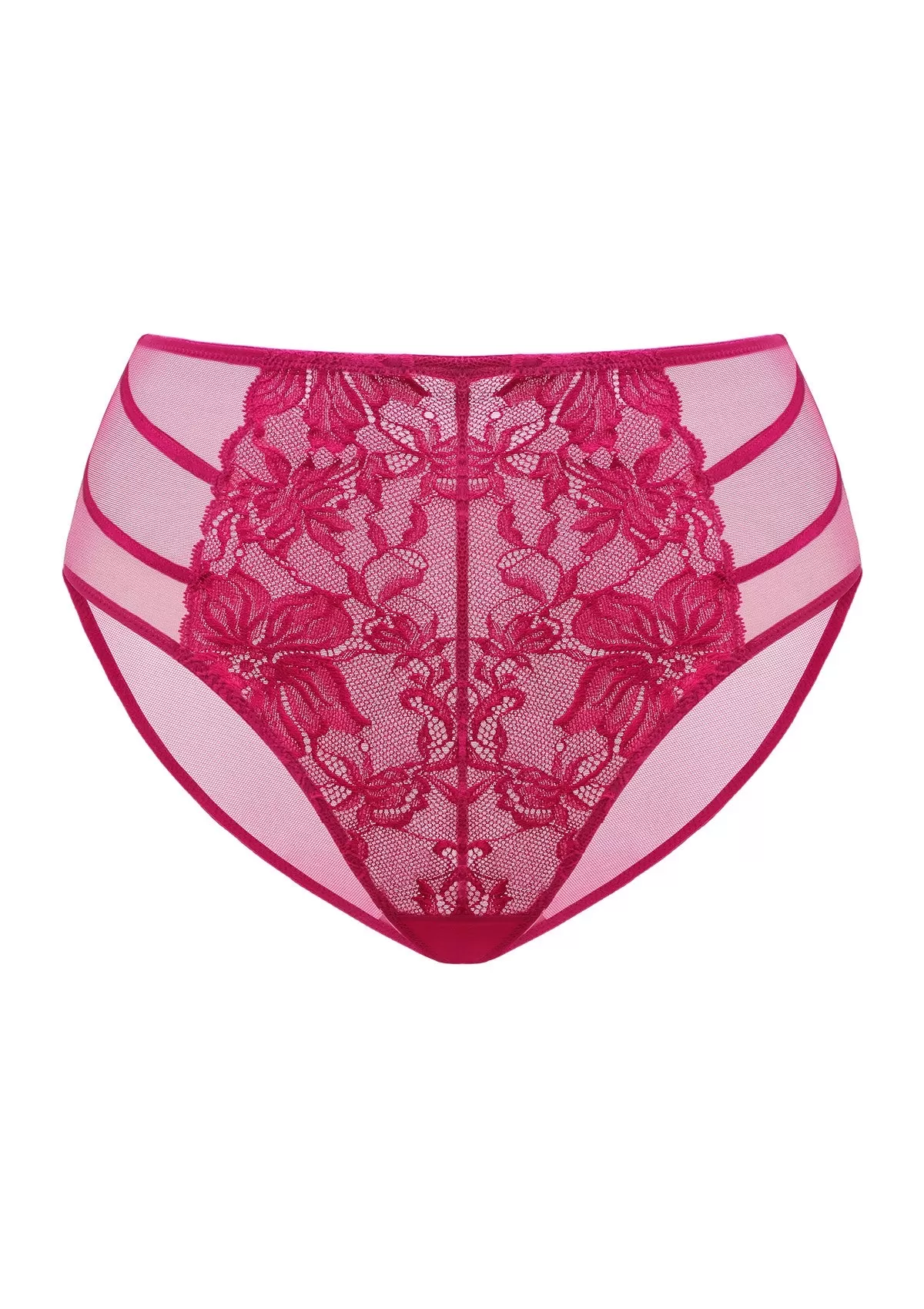 Pretty In Petals High-Rise Lace Brief Underwear